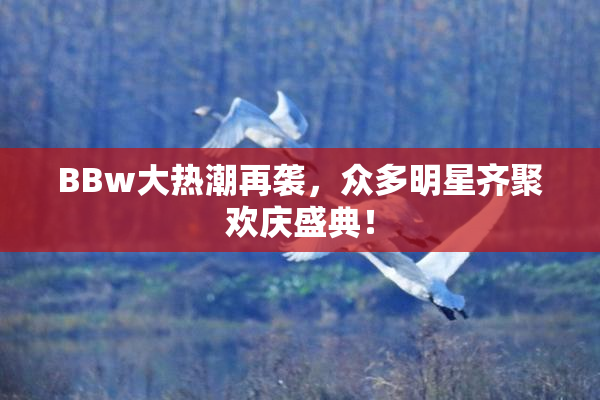 BBw大热潮再袭，众多明星齐聚欢庆盛典！