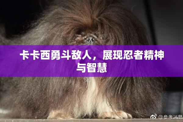 卡卡西勇斗敌人，展现忍者精神与智慧