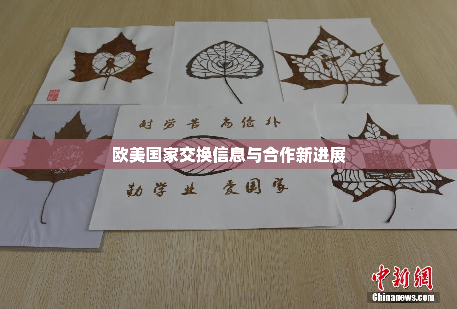 欧美国家交换信息与合作新进展