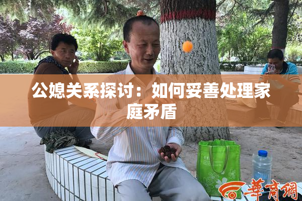 公媳关系探讨：如何妥善处理家庭矛盾