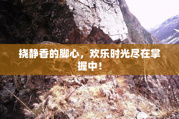 挠静香的脚心，欢乐时光尽在掌握中！