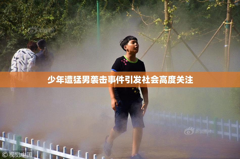 少年遭猛男袭击事件引发社会高度关注