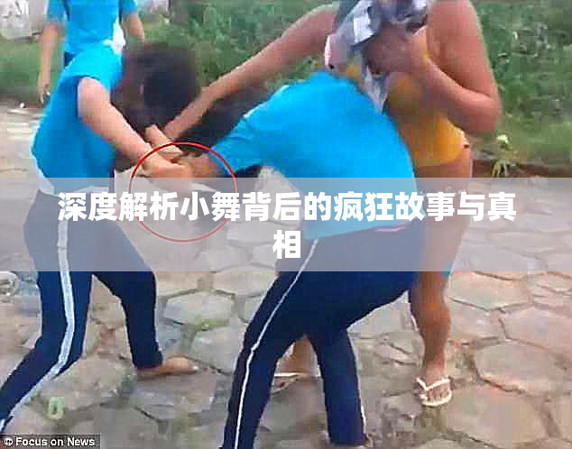 深度解析小舞背后的疯狂故事与真相