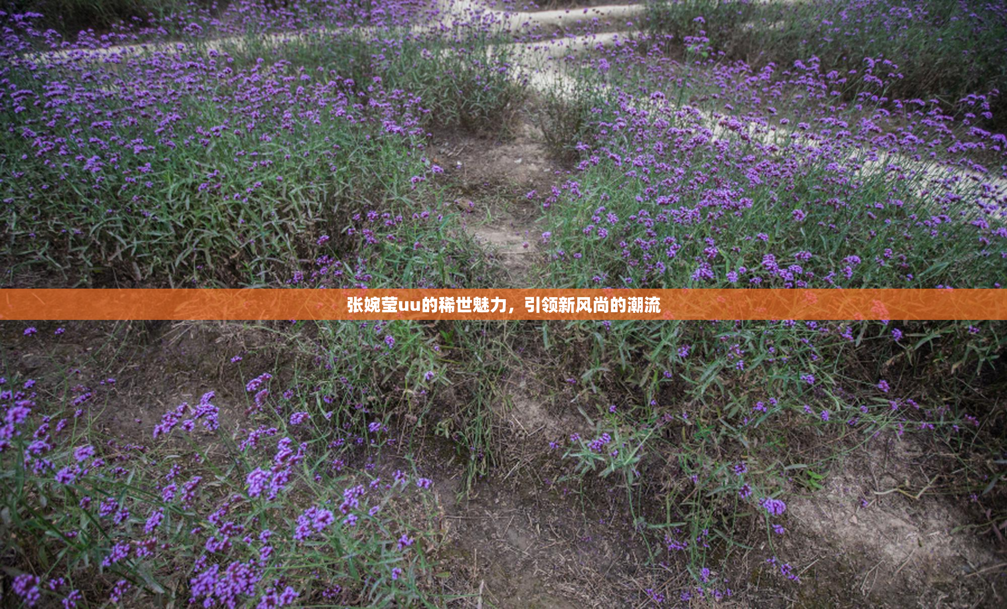 张婉莹uu的稀世魅力，引领新风尚的潮流