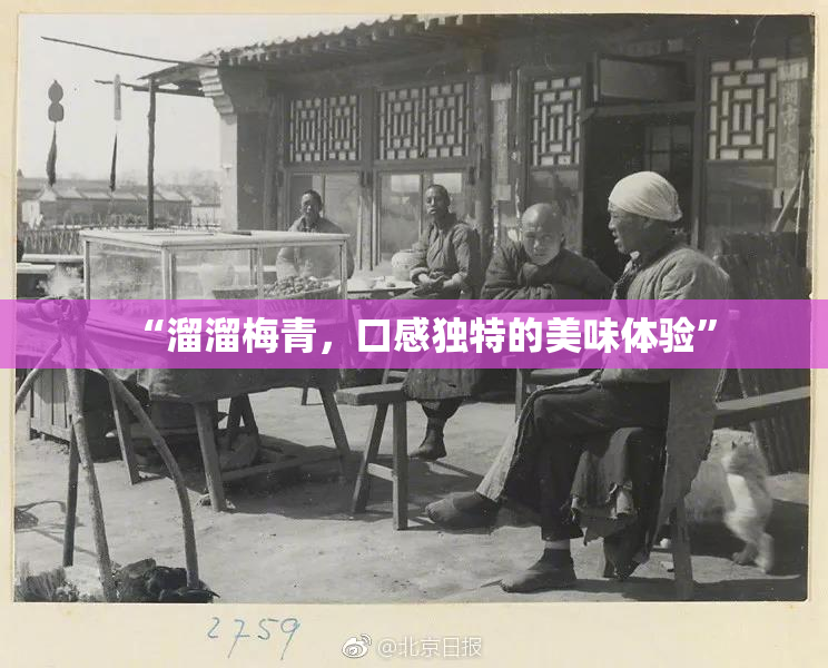“溜溜梅青，口感独特的美味体验”