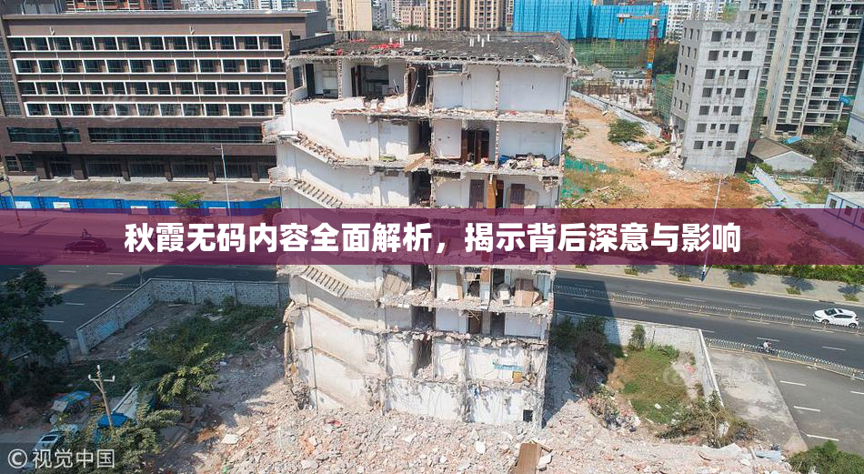 秋霞无码内容全面解析，揭示背后深意与影响