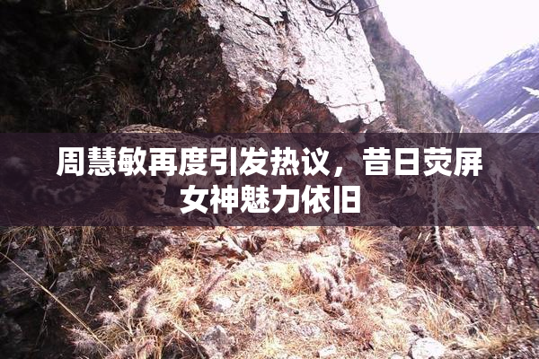 周慧敏再度引发热议，昔日荧屏女神魅力依旧