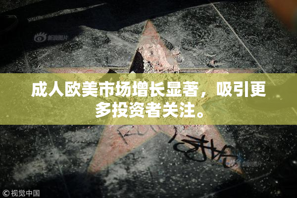 成人欧美市场增长显著，吸引更多投资者关注。