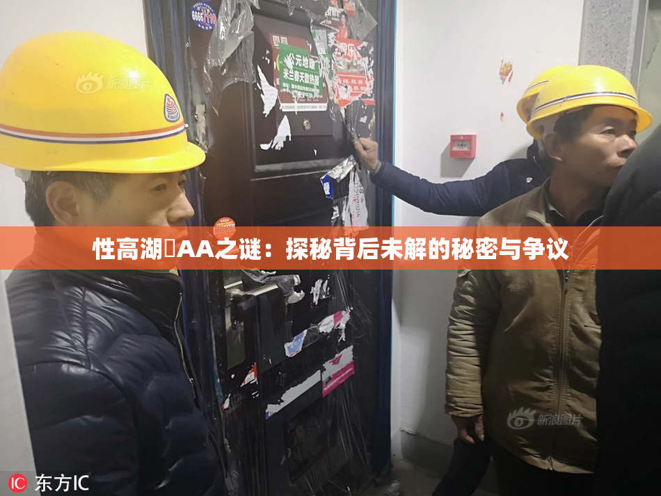 性高湖婬AA之谜：探秘背后未解的秘密与争议