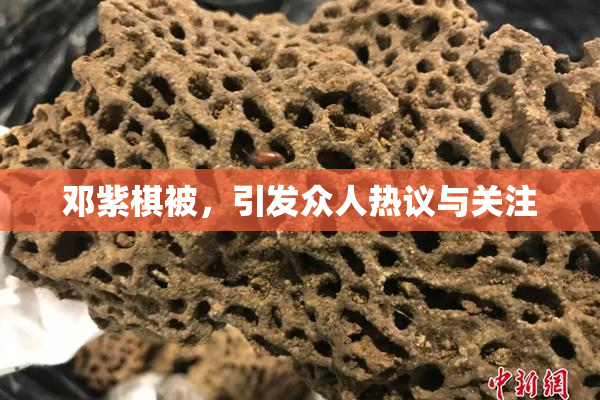 邓紫棋被，引发众人热议与关注