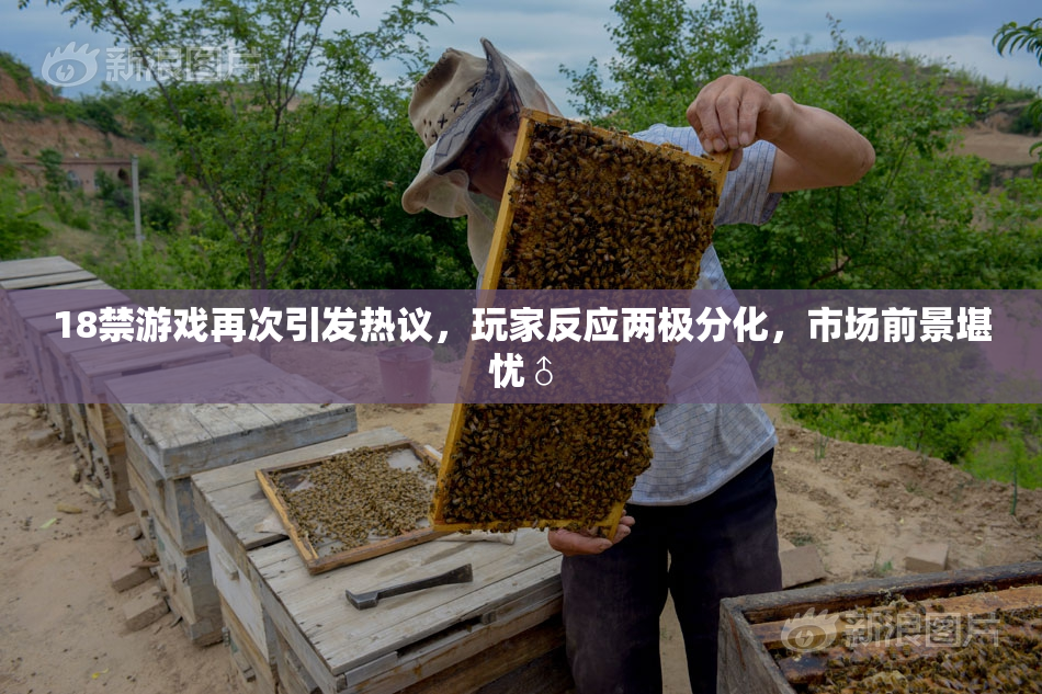 18禁游戏再次引发热议，玩家反应两极分化，市场前景堪忧♂