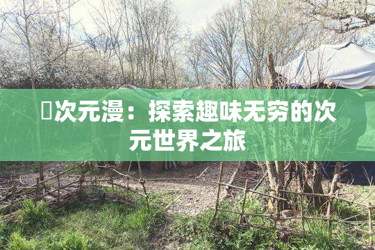 囧次元漫：探索趣味无穷的次元世界之旅