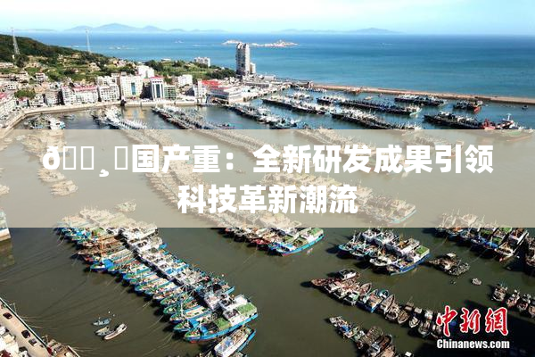 🌸‌国产重：全新研发成果引领科技革新潮流