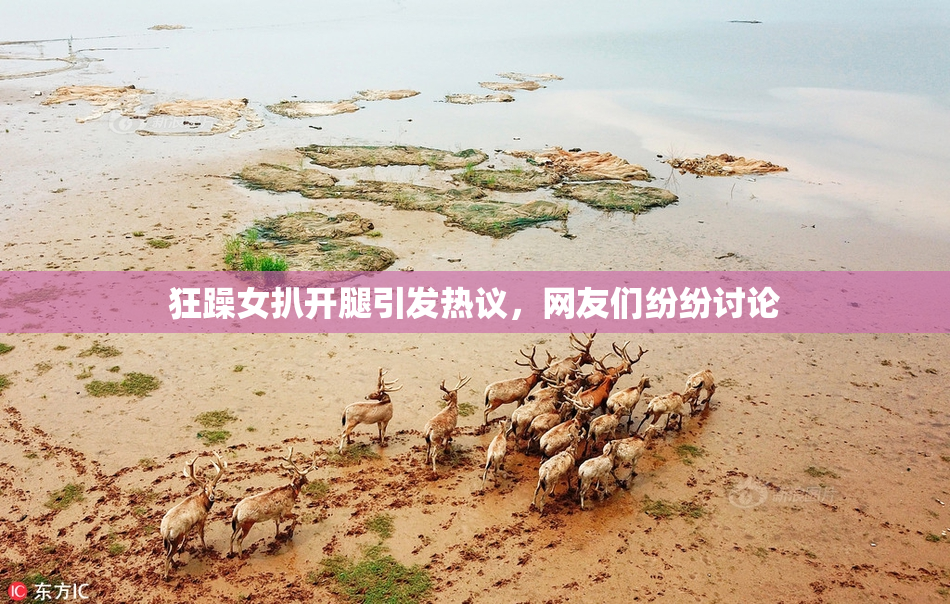 狂躁女扒开腿引发热议，网友们纷纷讨论