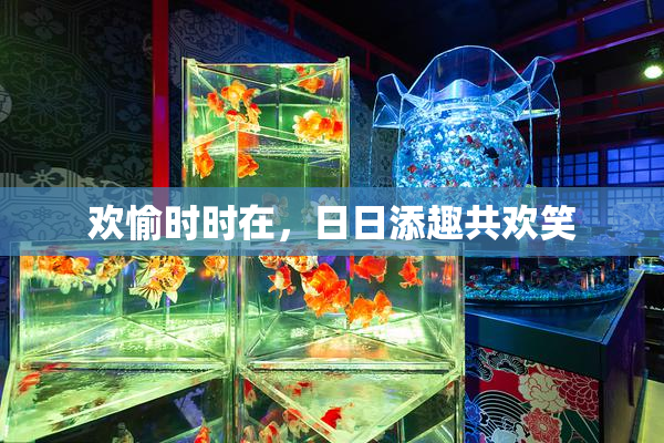 欢愉时时在，日日添趣共欢笑