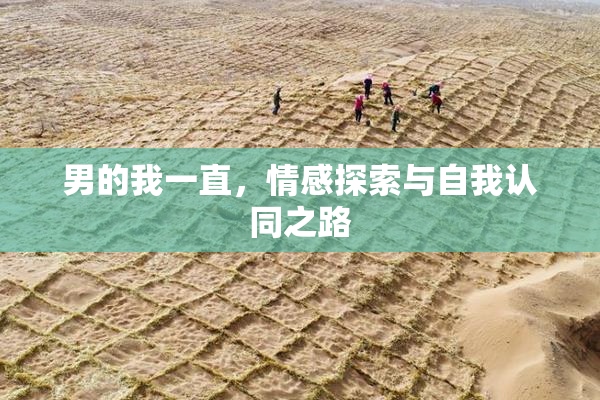 男的我一直，情感探索与自我认同之路