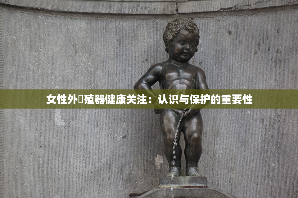 女性外夝殖器健康关注：认识与保护的重要性