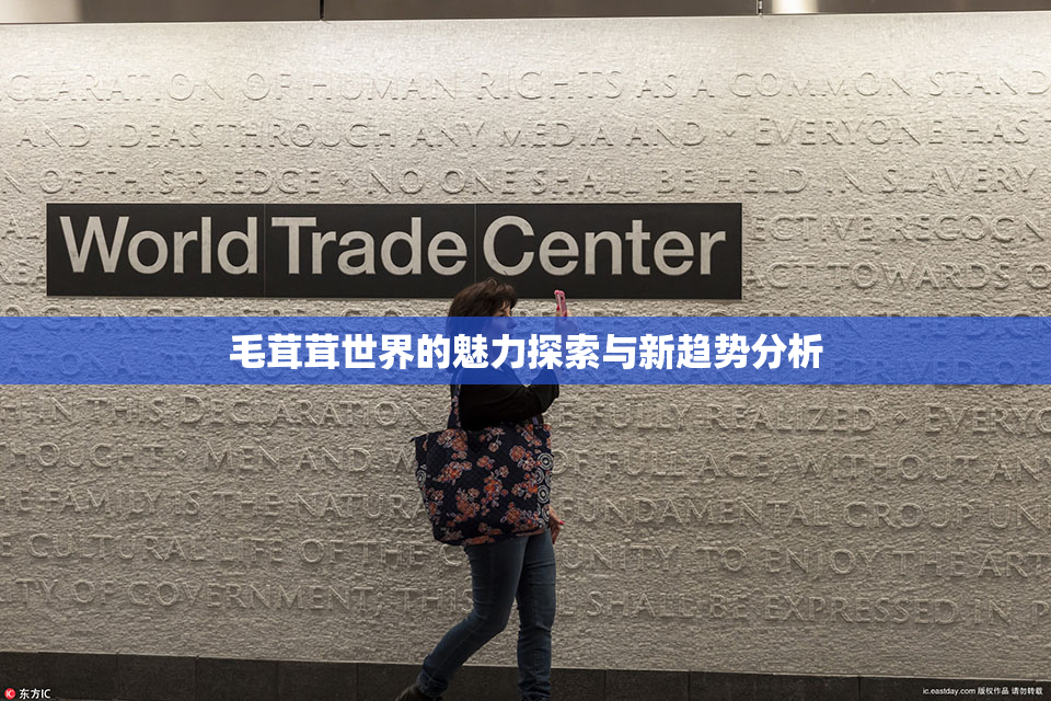 毛茸茸世界的魅力探索与新趋势分析
