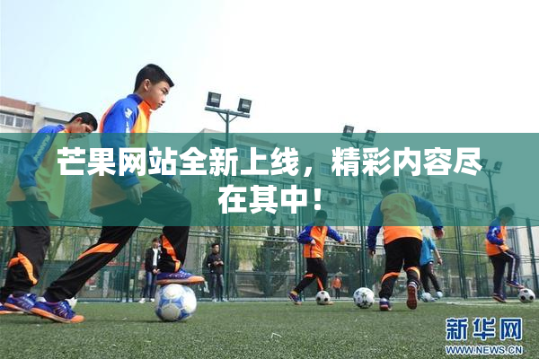 芒果网站全新上线，精彩内容尽在其中！
