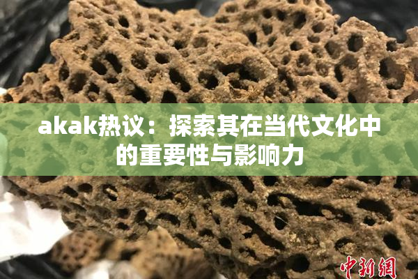 akak热议：探索其在当代文化中的重要性与影响力