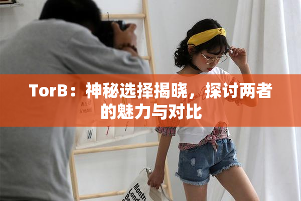 TorB：神秘选择揭晓，探讨两者的魅力与对比