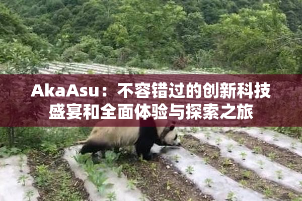 AkaAsu：不容错过的创新科技盛宴和全面体验与探索之旅