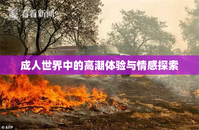 成人世界中的高潮体验与情感探索