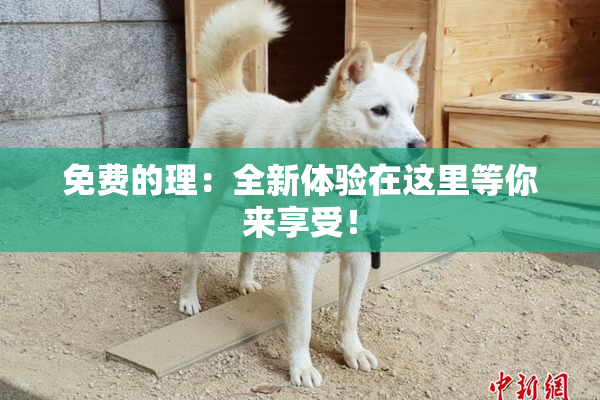 免费的理：全新体验在这里等你来享受！