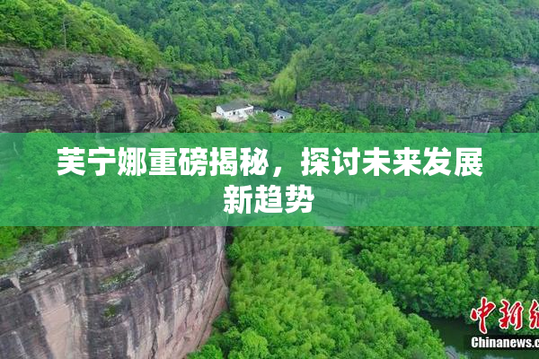 芙宁娜重磅揭秘，探讨未来发展新趋势