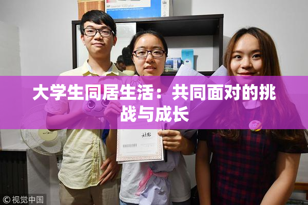 大学生同居生活：共同面对的挑战与成长