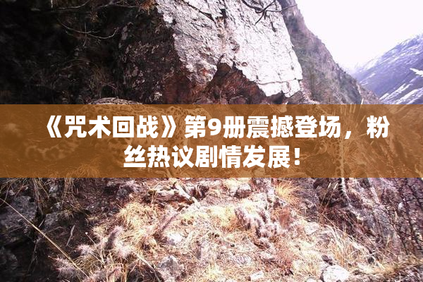 《咒术回战》第9册震撼登场，粉丝热议剧情发展！