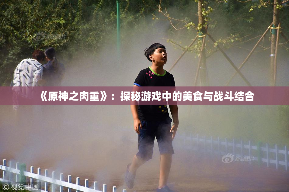 《原神之肉重》：探秘游戏中的美食与战斗结合