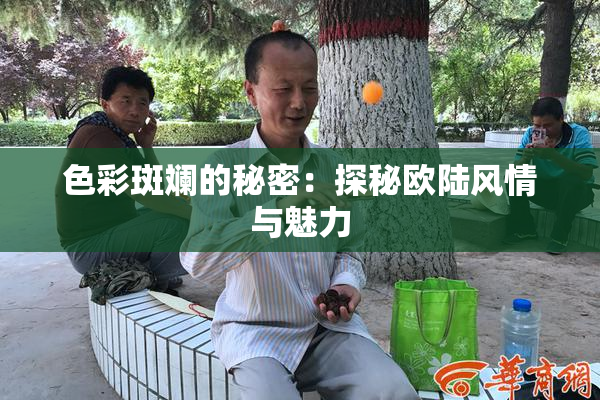 色彩斑斓的秘密：探秘欧陆风情与魅力