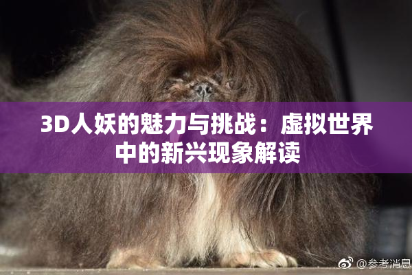 3D人妖的魅力与挑战：虚拟世界中的新兴现象解读