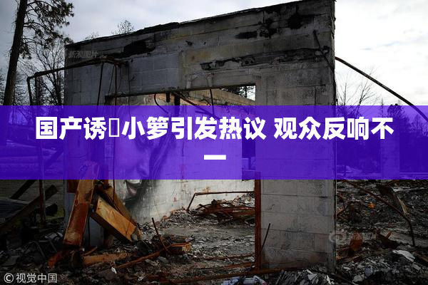 国产诱奷小箩引发热议 观众反响不一