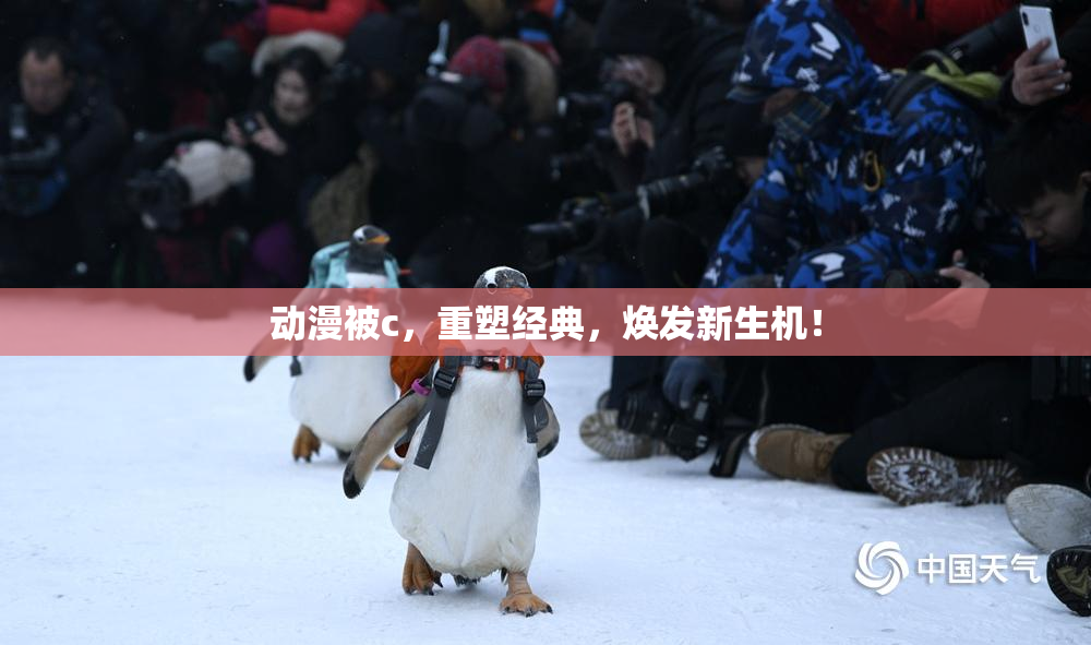 动漫被c，重塑经典，焕发新生机！