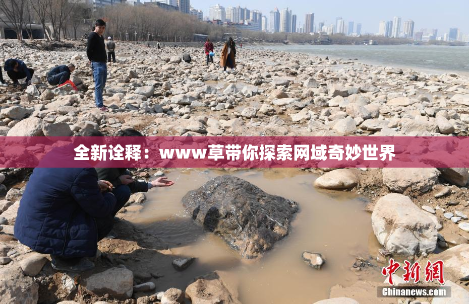 全新诠释：www草带你探索网域奇妙世界