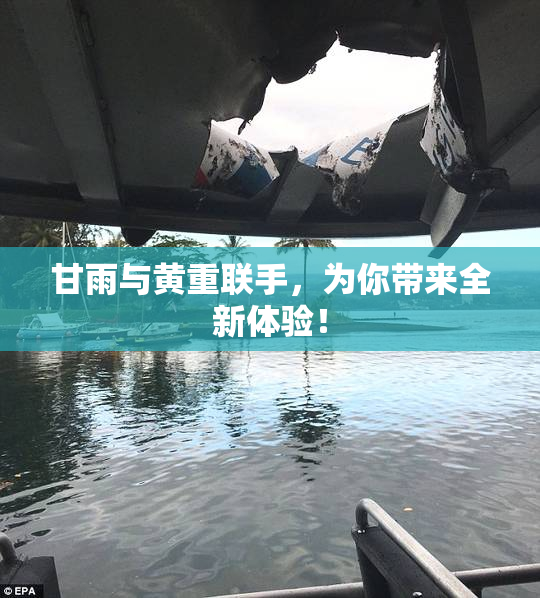 甘雨与黄重联手，为你带来全新体验！