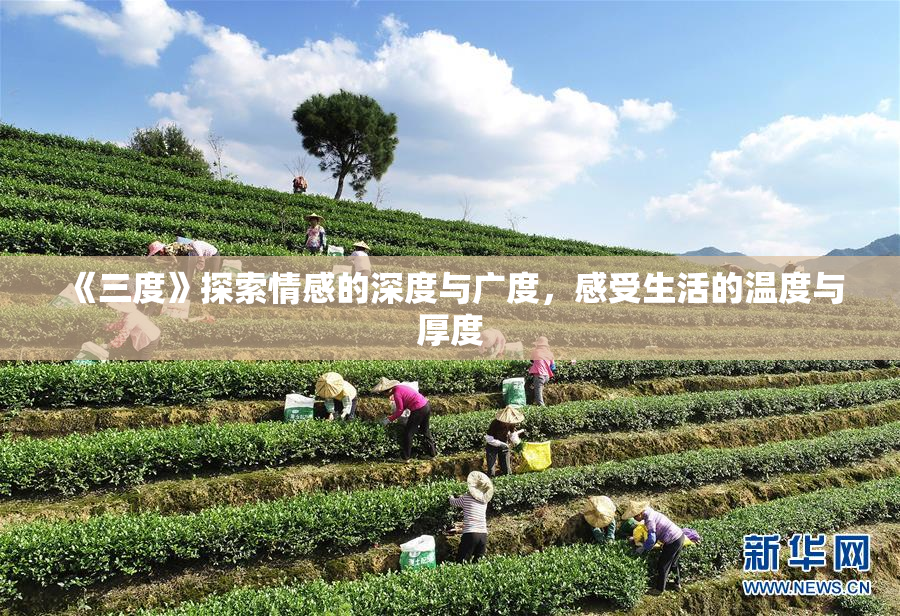 《三度》探索情感的深度与广度，感受生活的温度与厚度