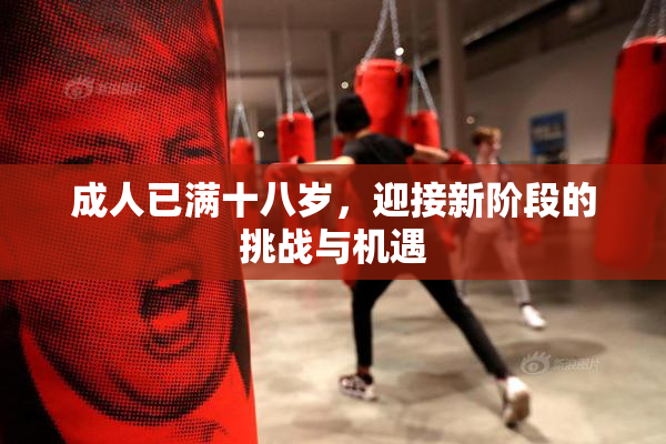 成人已满十八岁，迎接新阶段的挑战与机遇