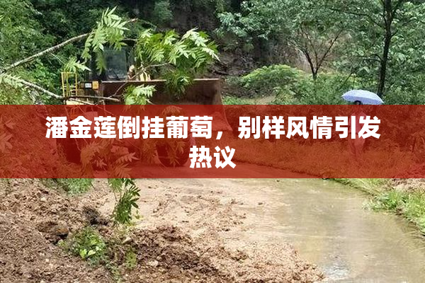 潘金莲倒挂葡萄，别样风情引发热议