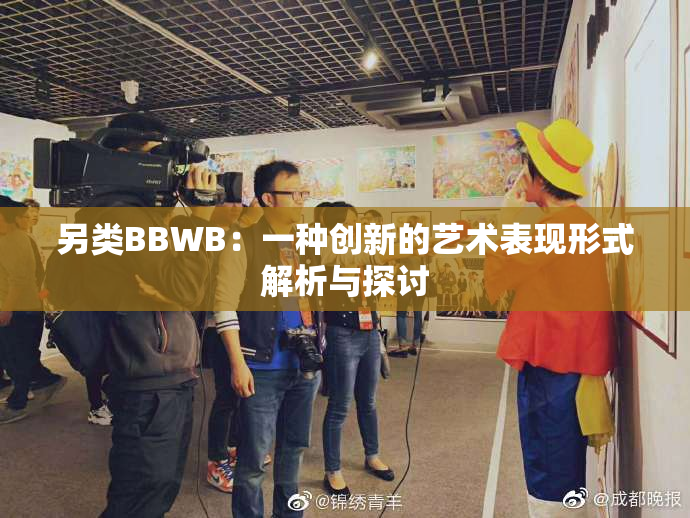 另类BBWB：一种创新的艺术表现形式解析与探讨