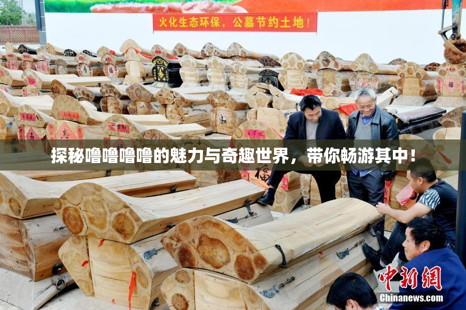 探秘噜噜噜噜的魅力与奇趣世界，带你畅游其中！
