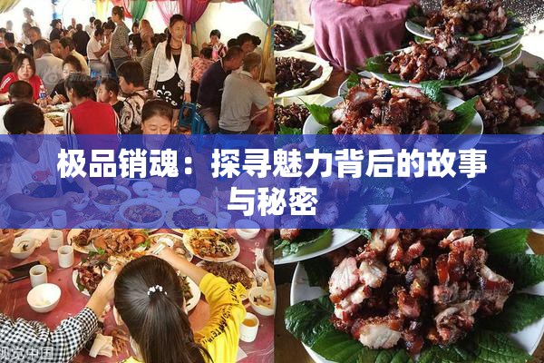 极品销魂：探寻魅力背后的故事与秘密