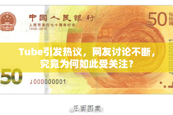 Tube引发热议，网友讨论不断，究竟为何如此受关注？