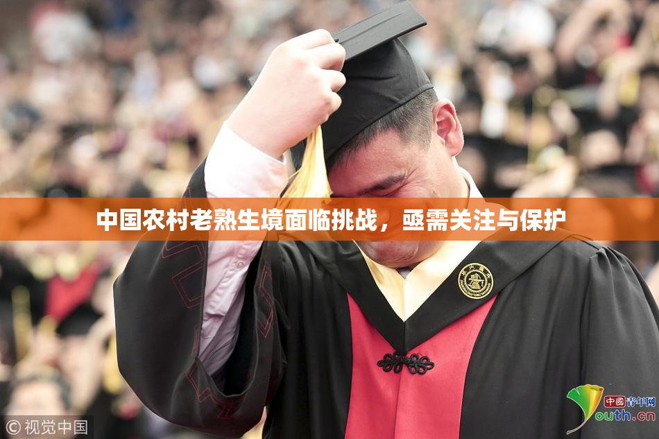 中国农村老熟生境面临挑战，亟需关注与保护