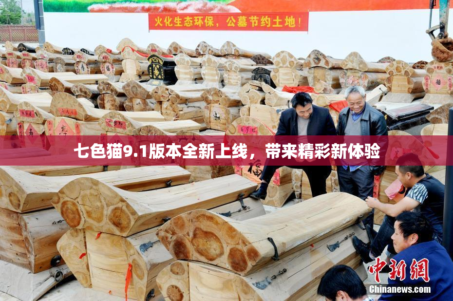 七色猫9.1版本全新上线，带来精彩新体验