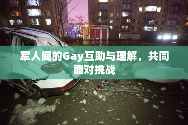 军人间的Gay互助与理解，共同面对挑战