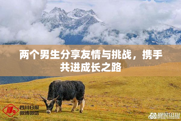 两个男生分享友情与挑战，携手共进成长之路