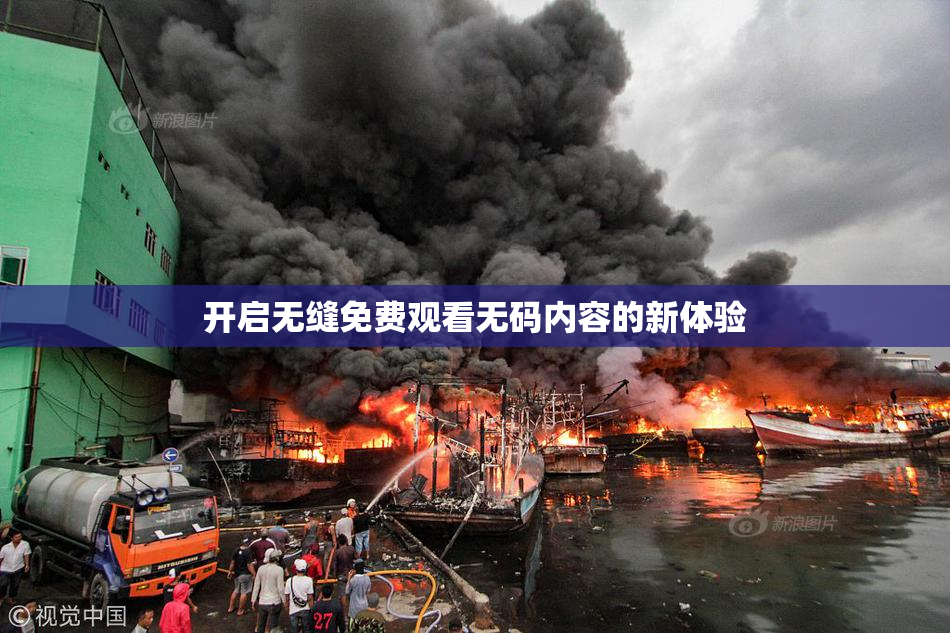 开启无缝免费观看无码内容的新体验